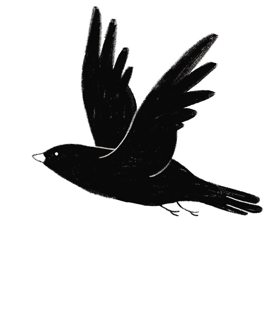 Flying Raven
